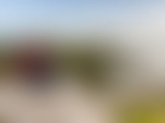 El mágico recorrido por Las Pinguineras de Chiloé