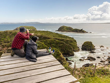 El mágico recorrido por Las Pinguineras de Chiloé