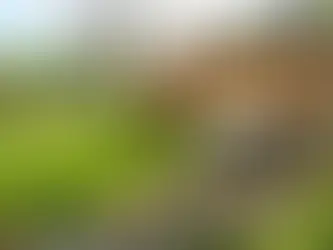 Aventura urbana en el Cerro San Cristóbal