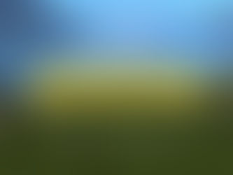 Gran Feria Raíces Campesinas