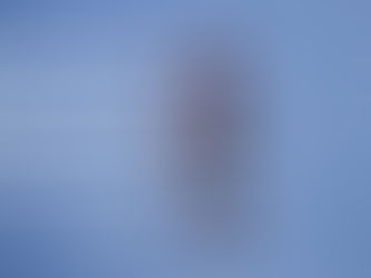 Los Halcones de la FACH inician gira por el Sur de Chile