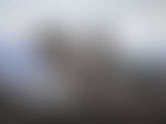 Isla Magdalena: El Santuario de los Pingüinos de Magallanes en la Patagonia