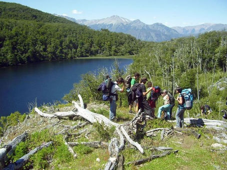 Descubre la magia de la Selva Valdiviana