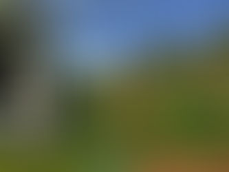 Viña del Mar para campistas: Parques, senderos y naturaleza