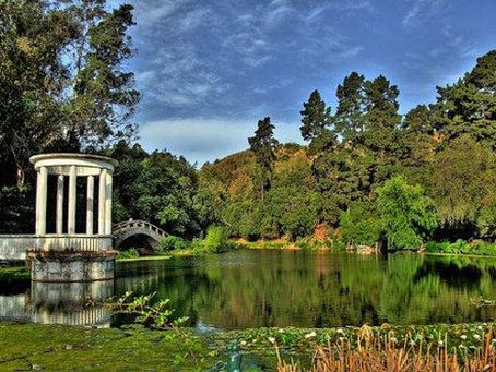 Viña del Mar para campistas: Parques, senderos y naturaleza