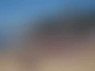 Reñaca: Costa, camping y aventura en un solo lugar