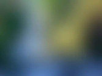 Ruta de Cascadas en la región de Ñuble: Itata y Dañicalqui