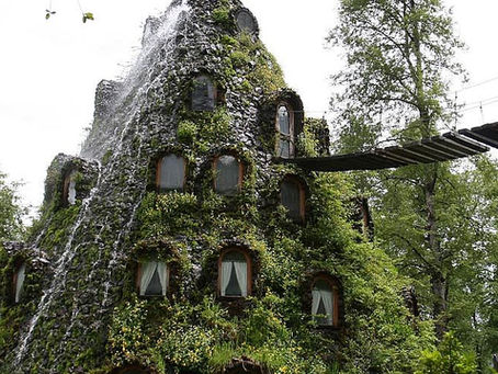 Reserva Biológica Huilo-Huilo, un rincón mágico en la comuna de Panguipulli