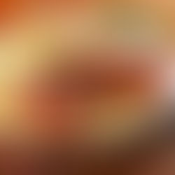 La Longaniza de Chillán: Un sabor con historia y denominación de origen