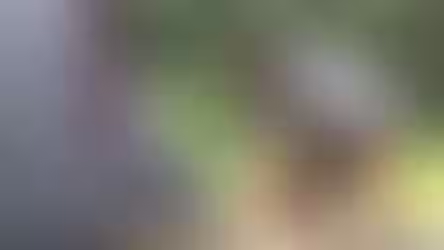 Guía campista para principiantes