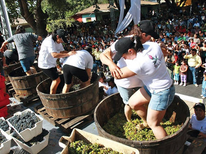 Vendimias en Chile: Planifica tu viaje en Marzo, Abril y Mayo 2026