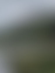 Río Achibueno: El paraíso secreto de aguas turquesas del Maule