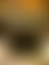 通古博今，见器识物 - 简析中国国家博物馆的“古代中国陈列馆”文物探秘