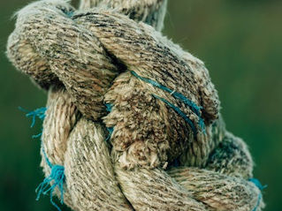 Knot
