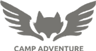 CA_Logo_OffWhite_Solid_edited_edited.png