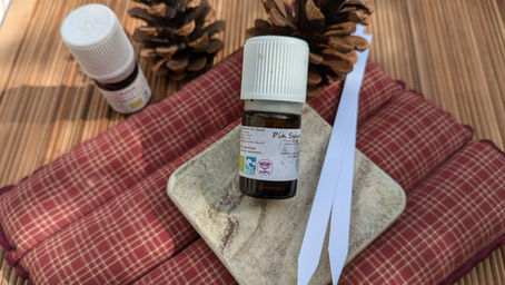 Huiles essentielles pour l'automne