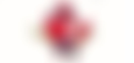 Mon défi : courir le Marathon des Jeux Olympiques (Marathon pour tous)