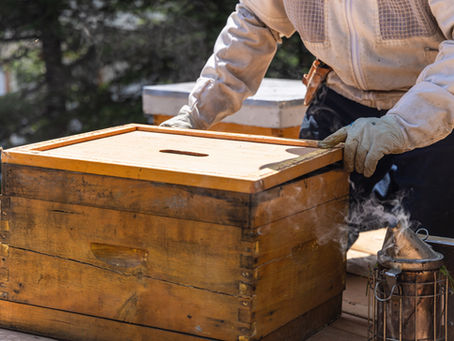 March in Ontario: The First Quick Check.