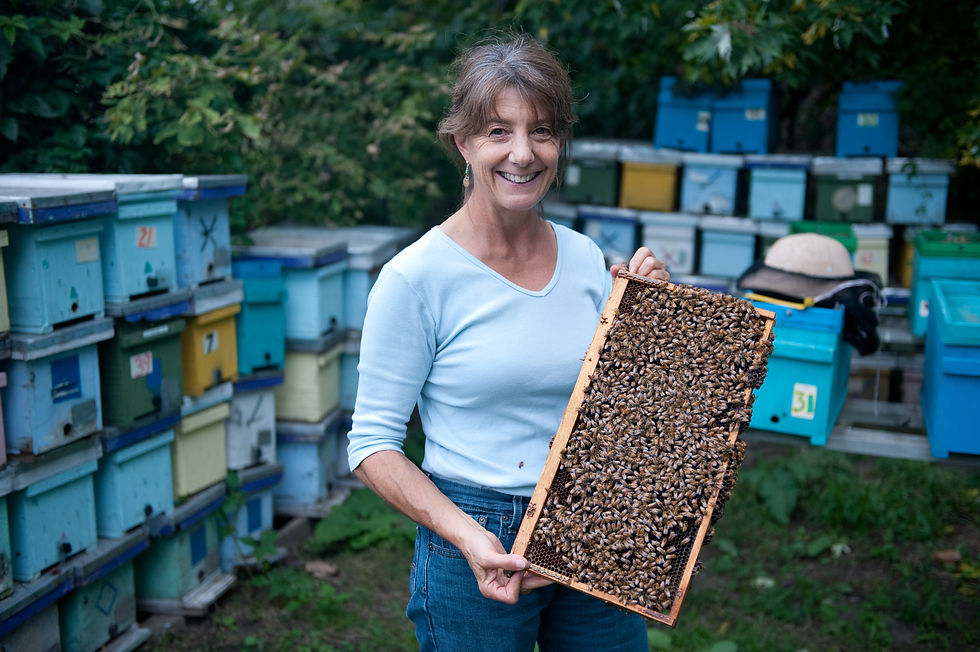 Marla Spivak, entomologist researching honeybee health