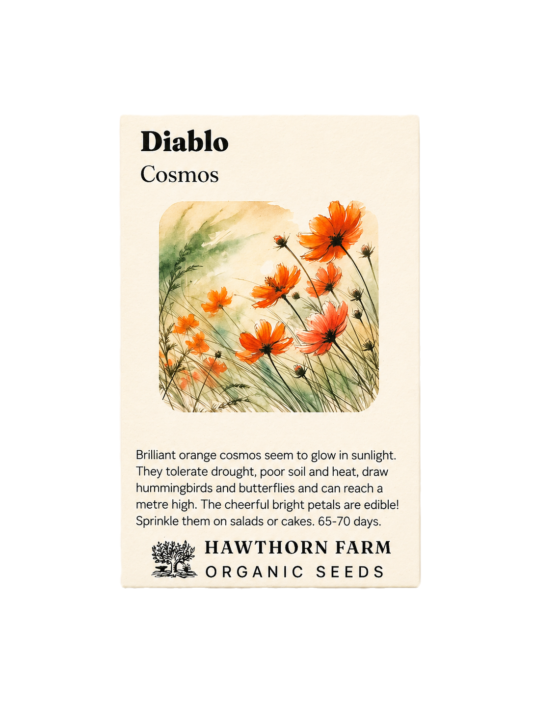 Cosmos - Diablo Organic Seeds