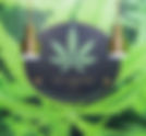 The Cannabis Shop - Head Shops - Barcelona