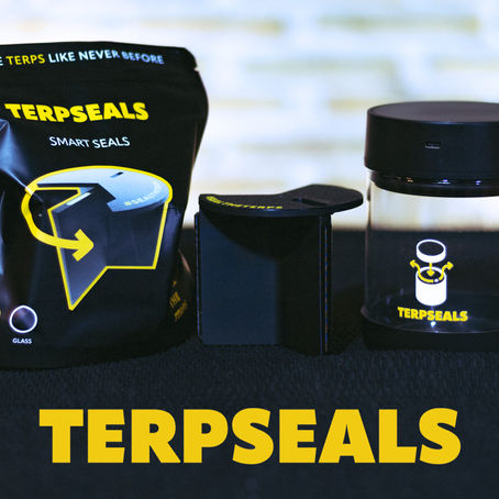 Terpseals: El futuro de la conservación para los clubes sociales