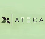 Asociación privada de usuarios de cannabis. Acceso exclusivo para socios. No se aceptan nuevas peticiones de inscripción a aquellas personas que no vengan avaladas por alguien que ya sea miembro de la asociación. Limitado a mayores de 18 años ya usuarios de cannabis. 