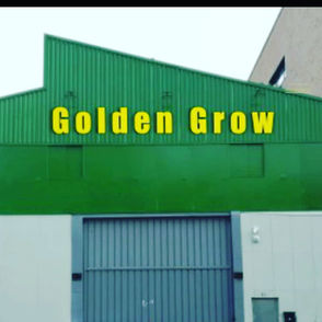 Golden Grow