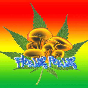 Flower Power Centelles