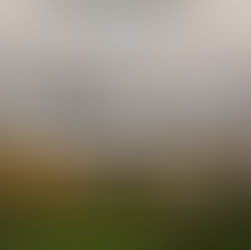 Cannabity Sagrada Familia is a shop specializing in hemp and CBD products. It serves as an information and education point about hemp and CBD in the Sagrada Familia neighborhood of Barcelona.