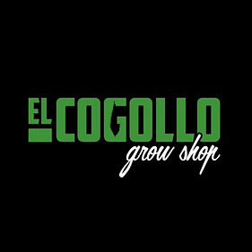 El Cogollo