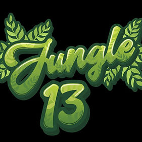 Jungle 13