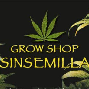 Sinsemilla