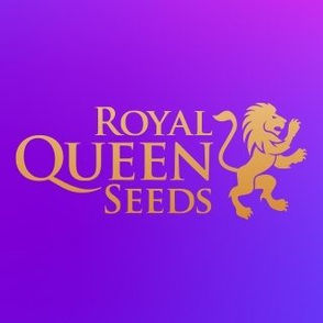 Royal Queen Seeds