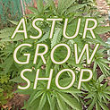 Grow Shops