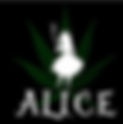 Asociación - CSC - Valencia - Alice .