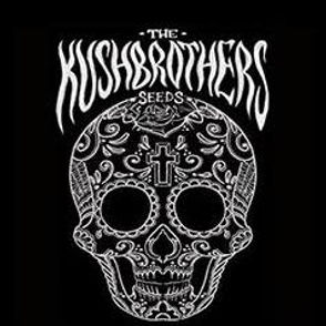 The Kush Brothers Seeds