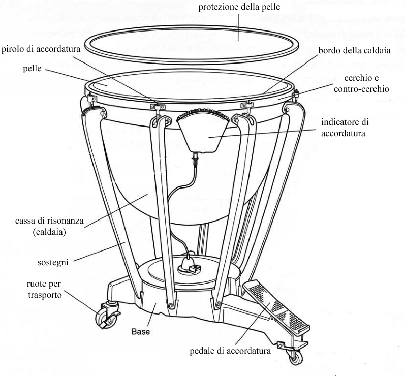 Membranofoni a suono determinato finalmentemusica