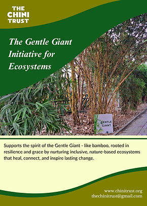 The Gentle Giant Flyer.png