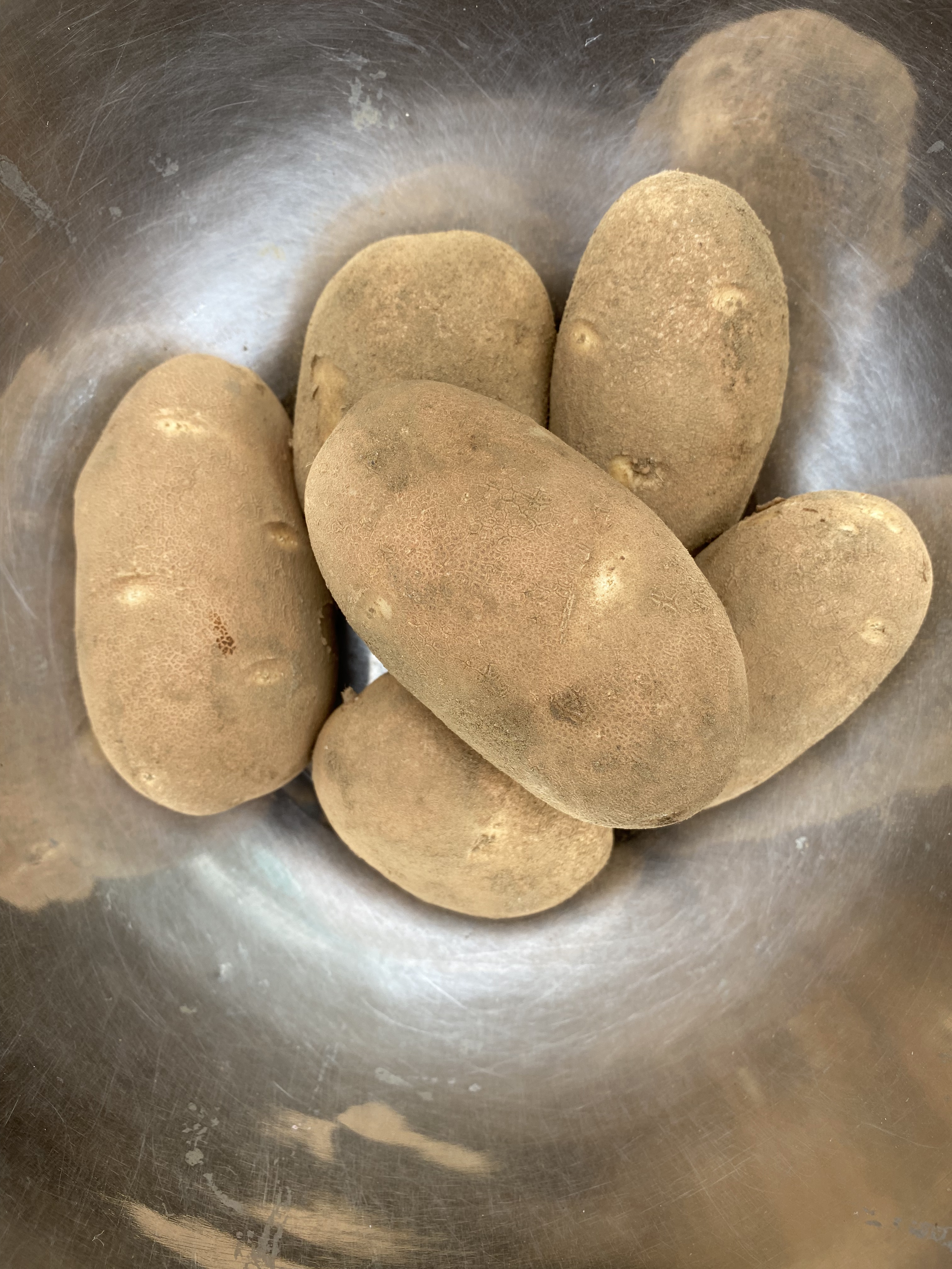 Pomme de terre Goldrush bio- Goldrush potatoes