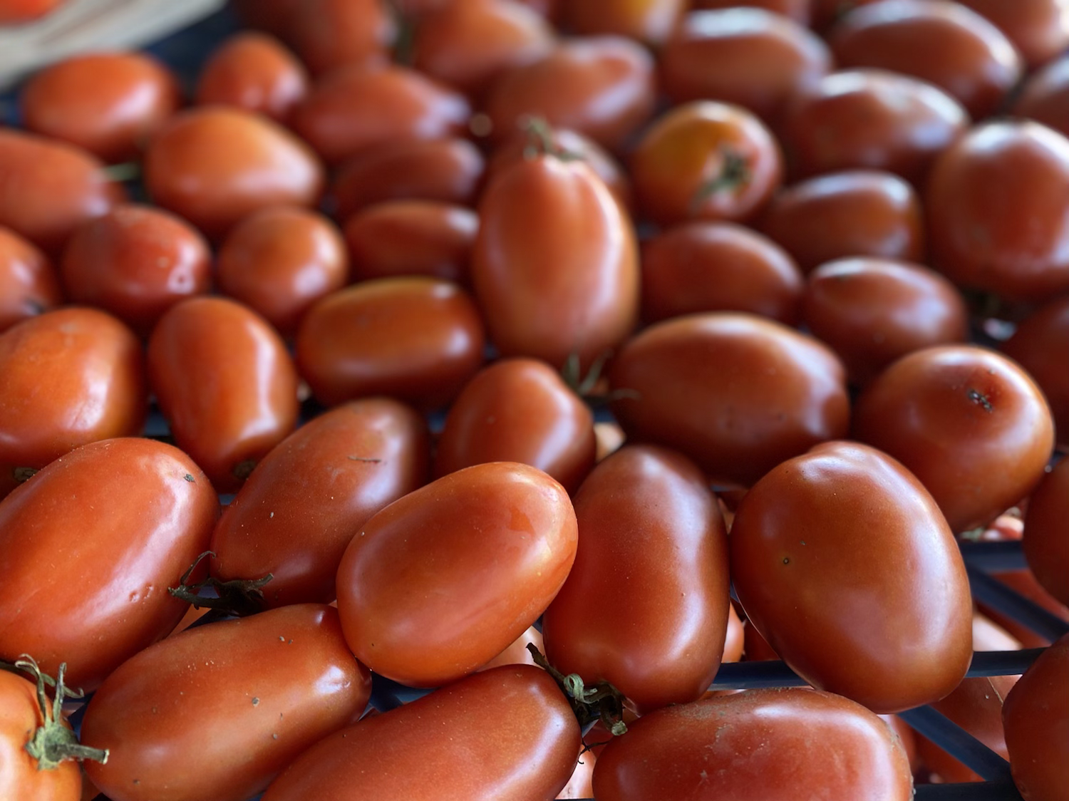 Tomates cerises bio déshydratées