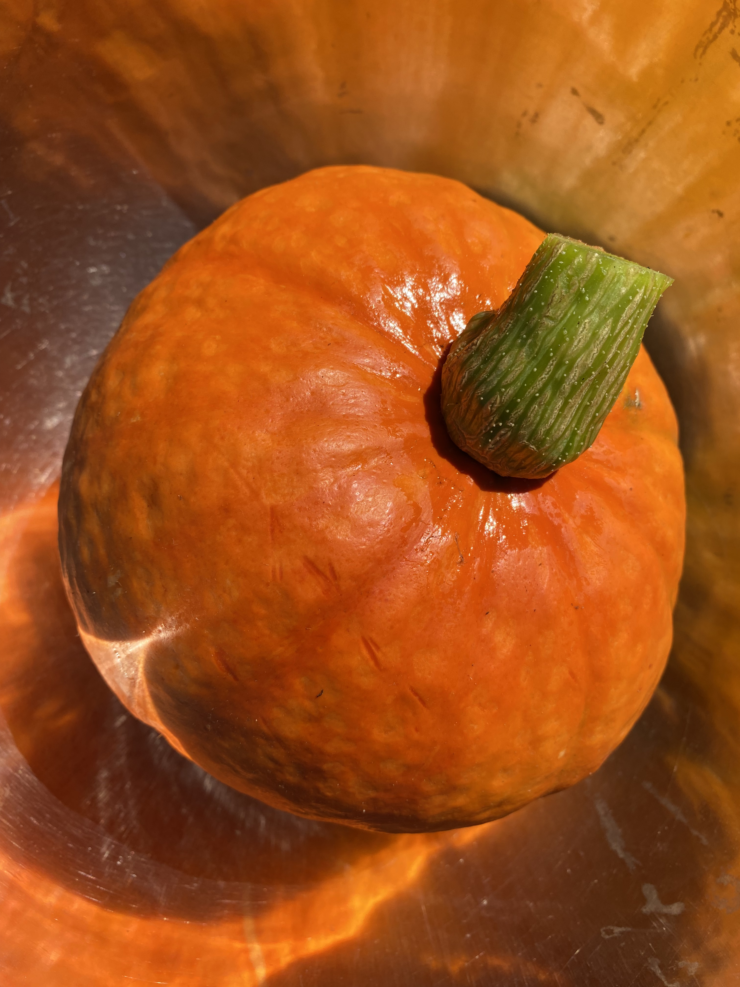 Courge buttercup orange bio