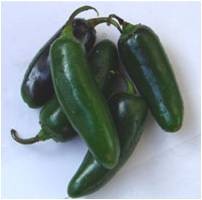Jalapeno bio