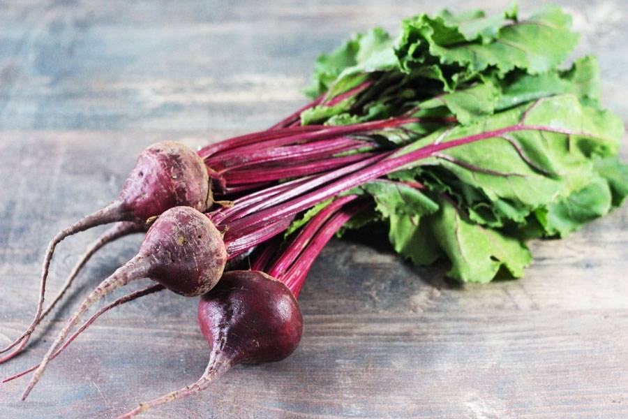 Betterave rouge bio
