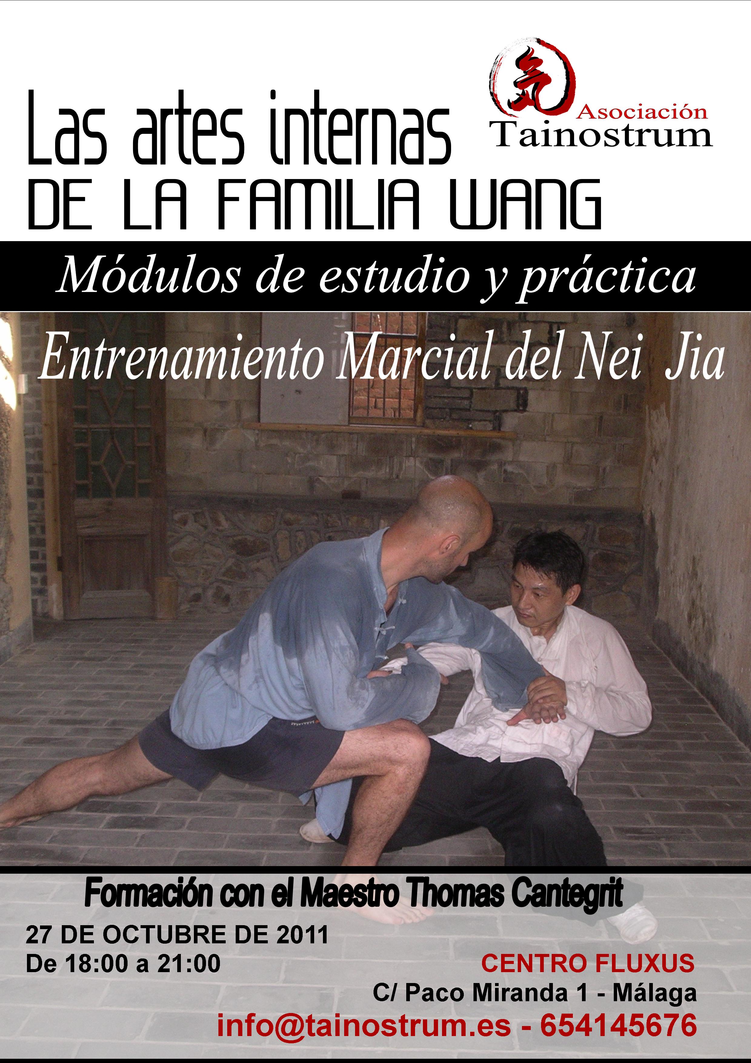 ENTRENAMIENTO NEI JIA