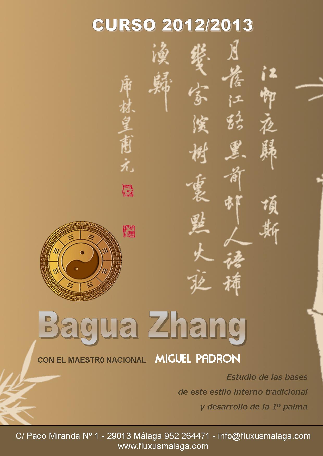 Formación Bagua 5