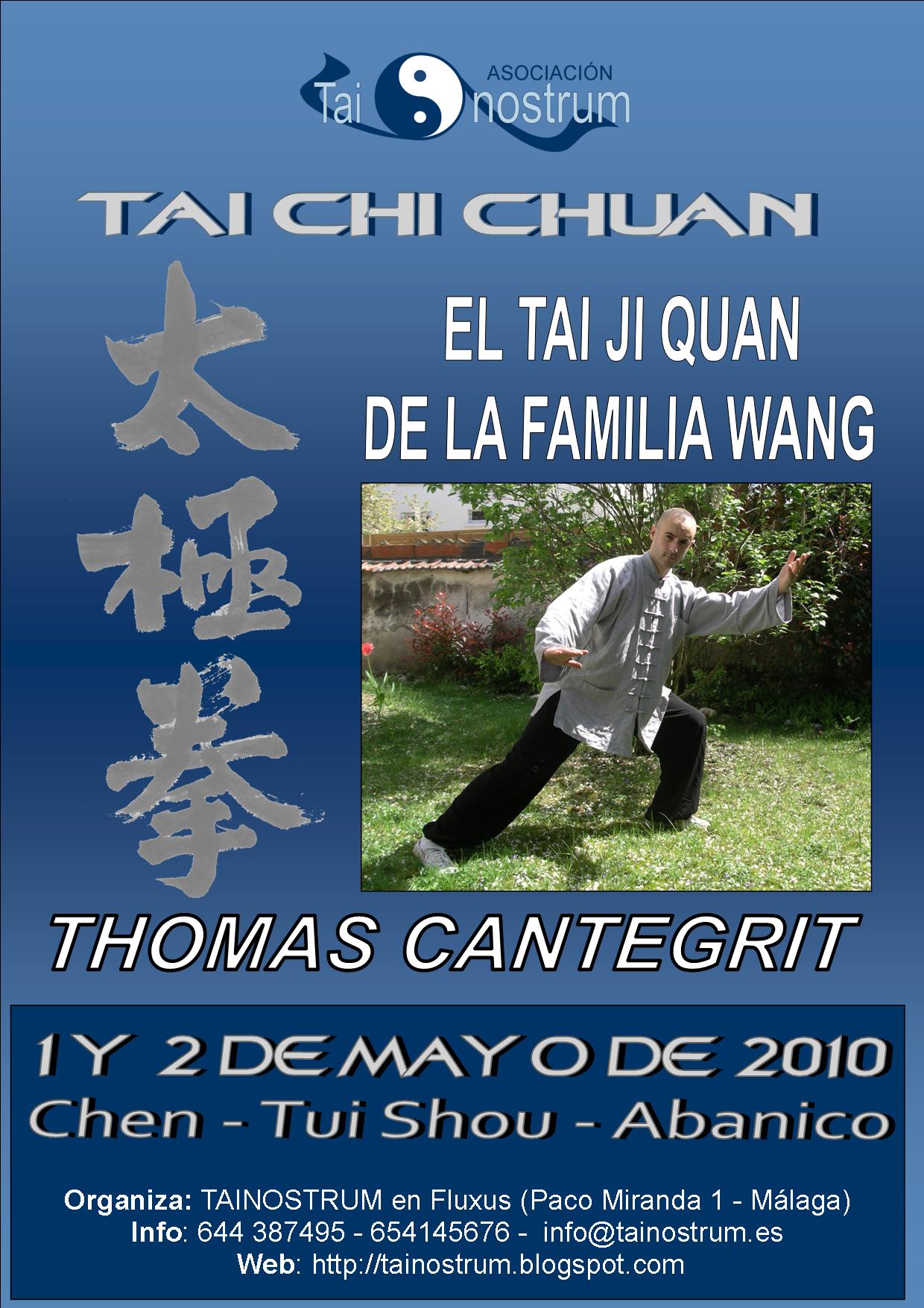 WANG SHI TAIJIQUAN