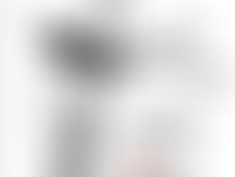 CONCURSO DE NAVIDAD DE DIBUJO DE LOS CINCO ANIMALES DEL HUNG GAR