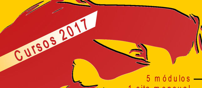 II SEMINARIO DE TUI SHOU