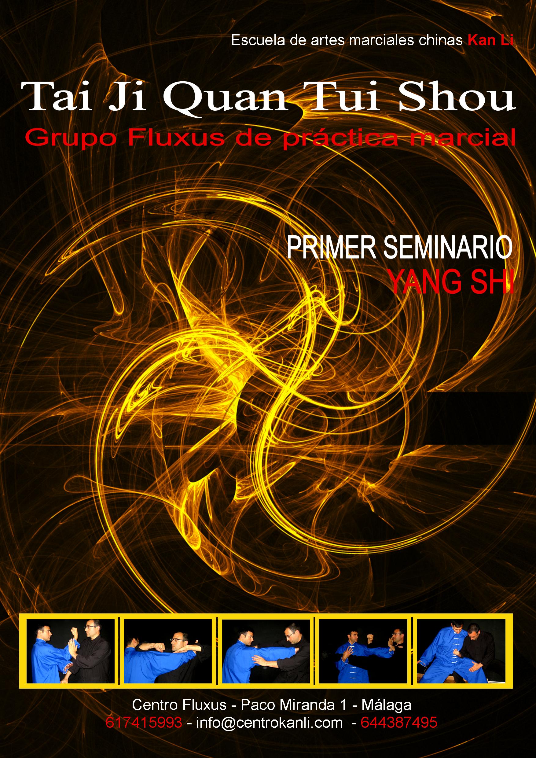 SEMINARIO DE TUI SHOU